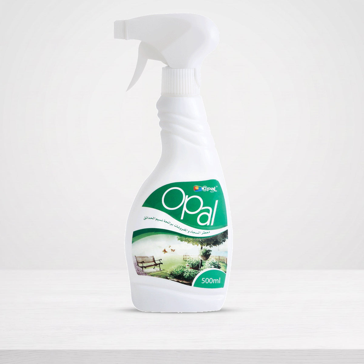 Carpet Care
